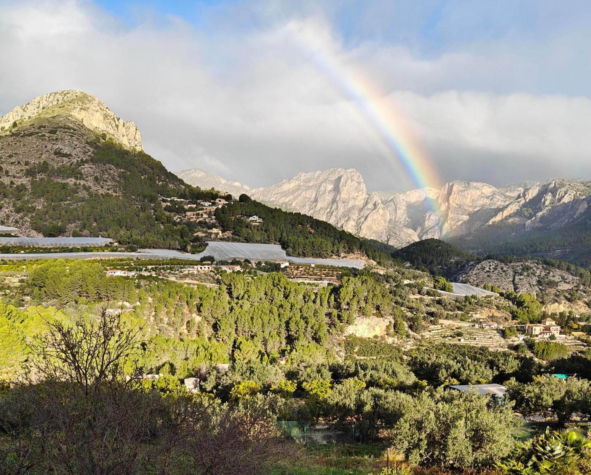 Finca Oliva Bolulla Exteriör bild